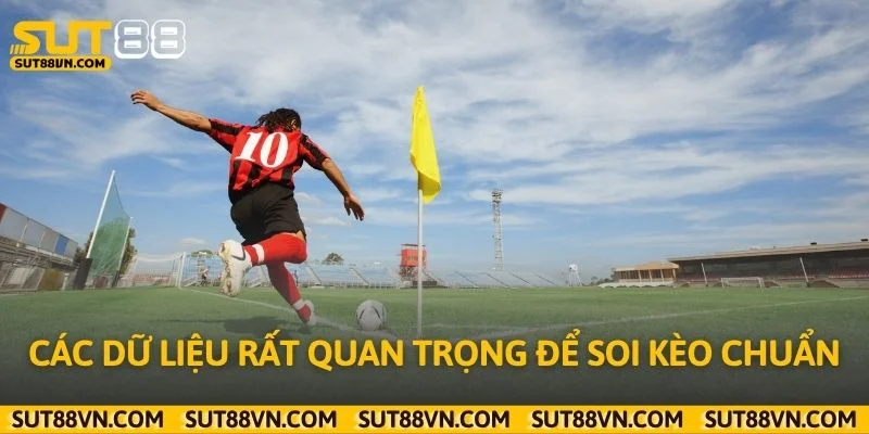 Các dữ liệu rất quan trọng để soi kèo chuẩn
