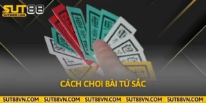 Hướng Dẫn Cách Chơi Bài Tứ Sắc Dễ Hiểu Cho Người Mới