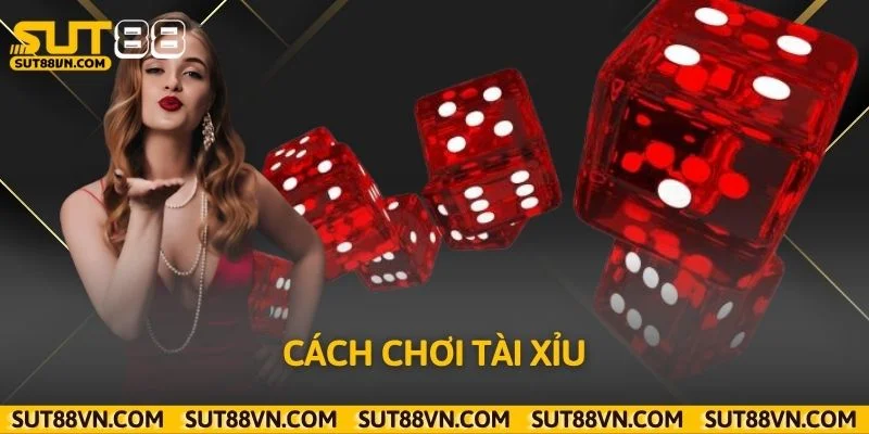Cách Chơi Tài Xỉu Chi Tiết Từ A-Z Cho Người Mới Tại Sut88