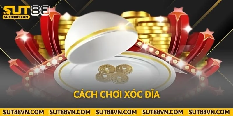 Hướng Dẫn Cách Chơi Xóc Đĩa Chuẩn Xác, Dễ Hiểu Cho Người Mới