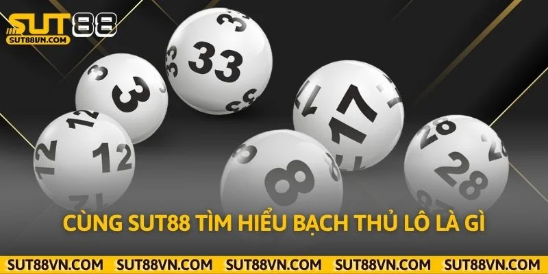 Cùng Sut88 tìm hiểu bạch thủ lô là gì
