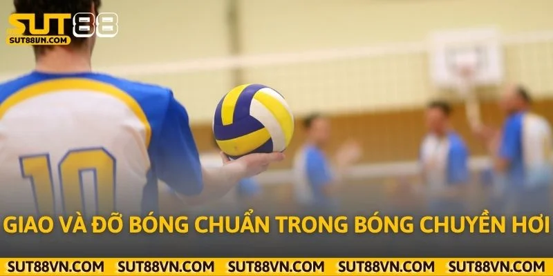 Giao và đỡ bóng chuẩn trong bóng chuyền hơi