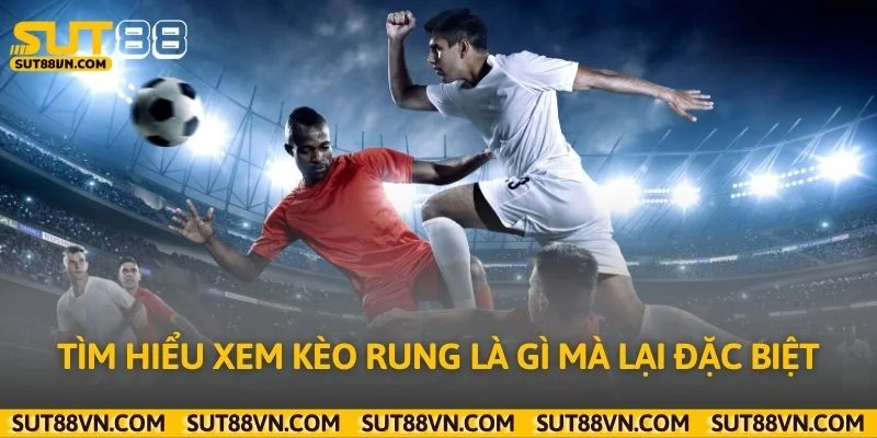 Tìm hiểu xem kèo rung là gì mà lại đặc biệt